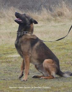 14945 112931028885842 149949964 n qadir