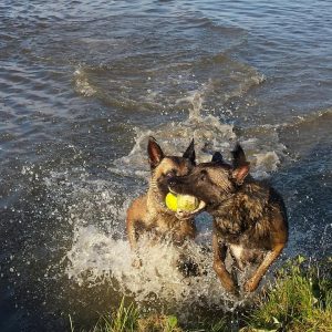 1496690 600132123431261 5150614384454344258 n