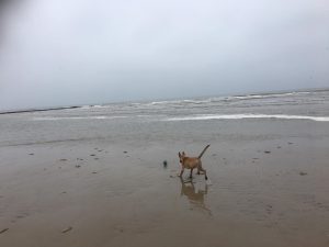 14976665 1504962562852282 1432001737068461364 o