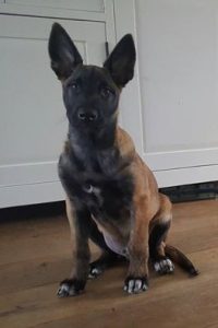 14980645 217125178721723 7926527490643262440 n