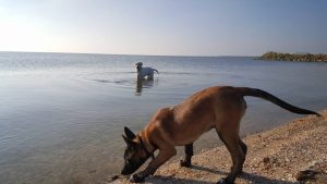 14993296 221149328319308 8837962112902086101 n