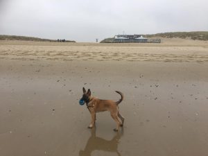 15003180 1504962642852274 2049776863081768392 o