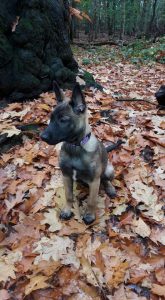 15027724 950427528435118 6183287362784836048 n