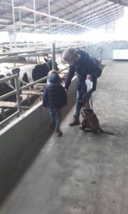 15032075 10210870360696280 5809066376008477719 n