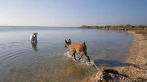 15032090 221160491651525 501165082067429949 n