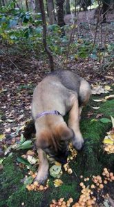 15032215 950427538435117 4084932140583249093 n