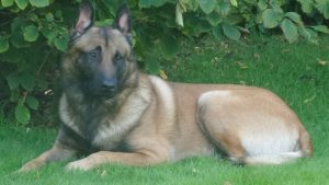 15032741 1802494066634450 8819163725593743947 n