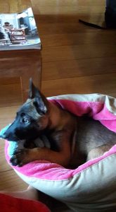 15036215 950427515101786 5487226487925838180 n