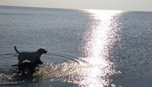 15036693 221194701648104 6078202865483411778 n 1