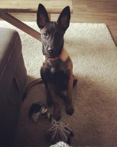 15036727 10210870360736281 7110485841995766592 n