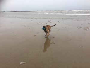 15042099 1504962556185616 7194175108032516027 o