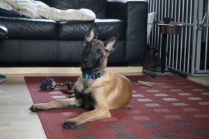 15068542 914298958700007 4510660896016939197 o