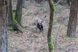 1507187 636800513033911 579837989 n