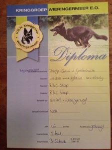 15073519 220286821735982 5179609262037669929 n