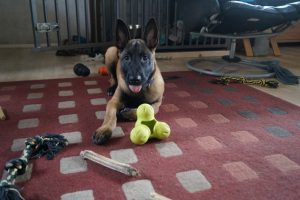 15123282 914298948700008 2693973224403690506 o