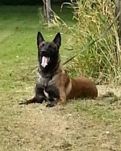 1527809 410993245700322 1452940233 n