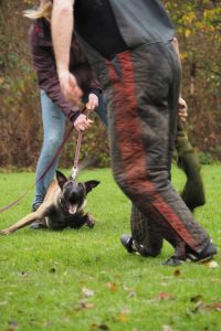 1545877 941247789300848 2318546637908089025 n