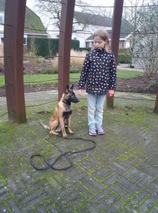 15492540 932277923568777 4353394110631782613 n