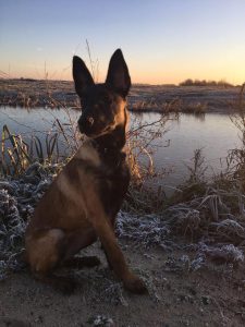 15542235 10211156489729327 5325223379483393294 n