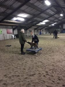 15590205 1385571501487142 3515149722461762057 n