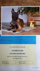 15621668 980045722139965 3701282527733938080 n 1