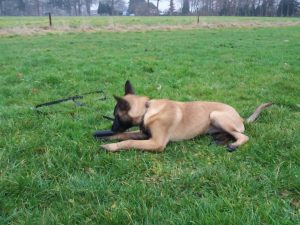 15625776 932277893568780 8547577127390441540 o