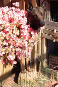 1563 158612464317698 1010095571 n