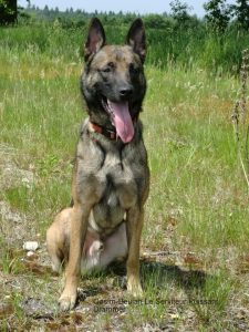 156491 448079685222181 1525693791 n Qasim