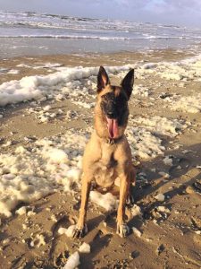 15697476 10209273644250368 2878411683436442501 n (1)