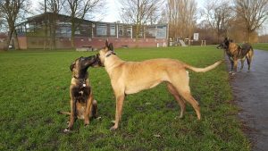 15698300 247031909064383 2450480867919447389 n