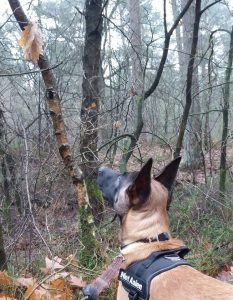 15732199 942890622507507 126048060550491223 o