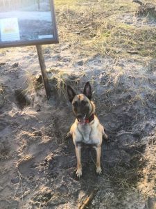 15740832 1300033303400657 5999925893935195610 n