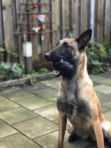 15741134 1209835379108753 7195458360340110818 n