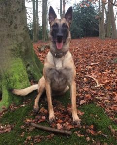 15747821 639440132909743 8060443233905927477 n (1)