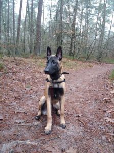 15781084 942890552507514 6500980769691897697 n