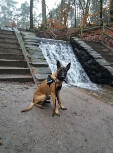 15781595 942890579174178 4109108984171447321 n