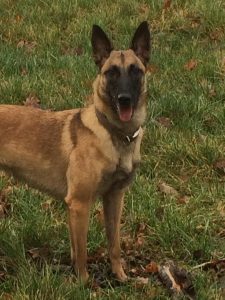 15781756 639440169576406 8911969108275100939 n-1 (1)