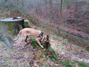 15826581 942890522507517 1487274576574125305 n