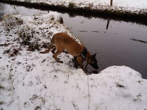 15875205 946360708827165 2067470792311068803 o