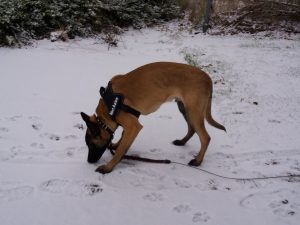 15895431 946360522160517 1504797781532331204 o 1