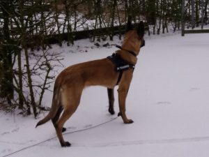 15895616 946360565493846 2698886266095133425 o