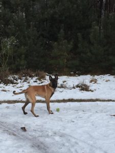 15977977 1904232353132069 3869964857442826396 n