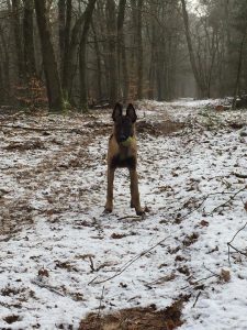 15978043 1904232339798737 5156838967863520818 n