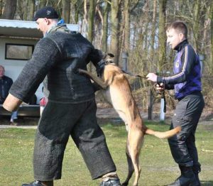 1604481 846520685475116 7356894767729672843 n