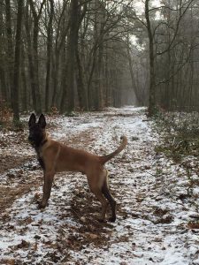 16105558 1904232329798738 7879562907265162895 n