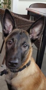 16106053 1901226220099349 3869058540915941758 n