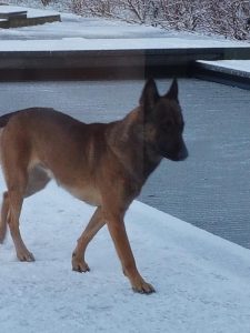 16114861 1363047040414694 3463537262681050772 n 1