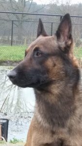 16142461 1363046993748032 7600152724271634396 n