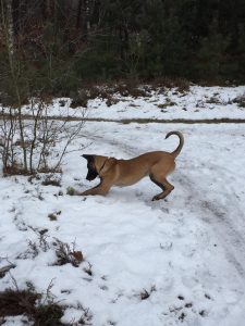 16142774 1904232373132067 2218117708395503278 n