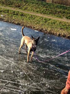 16174856 1003494449795092 3924415317785869303 n